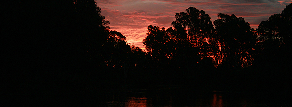 Sunsets over the Murray river
